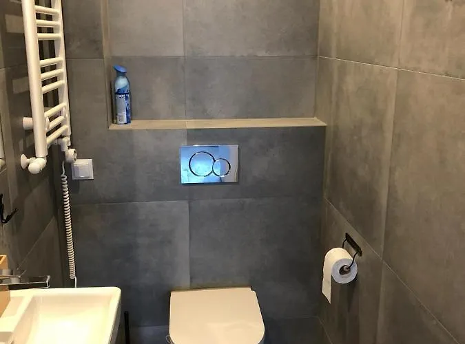 Mala Czarna شقة فيسلا